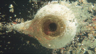 An enormous organic spiral structure resembling an eye, concentric golden-brown rings surrounding a perfectly dark central void, the entire form covered in crystalline data fragments that shatter outward at its edges against black space.